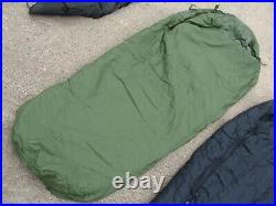 US Military Modular Sleeping Bag System 4-pc Cold Weather Camo Gore-Tex Bivy